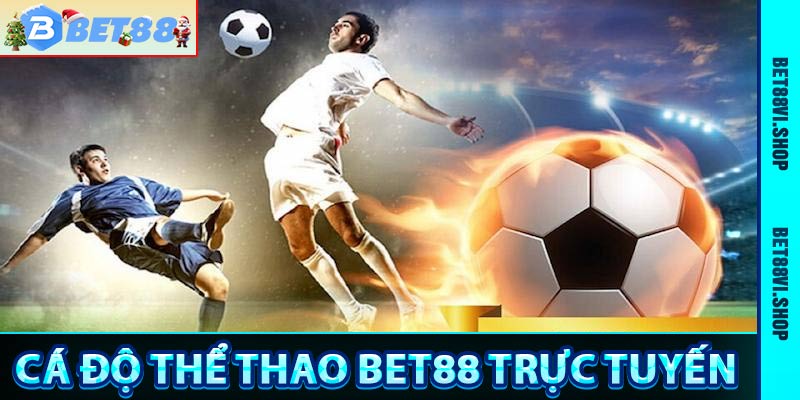 Thể Thao Bet88 - Trang Cá Độ Thể Thao Trực Tuyến 2025