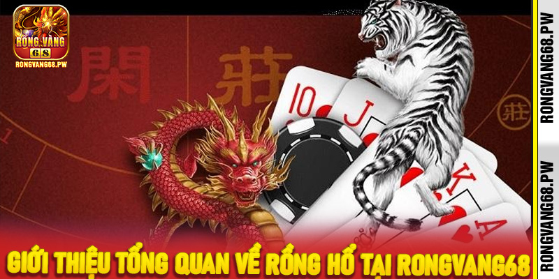 Giới thiệu tổng quan về Rồng Hổ tại RongVang68